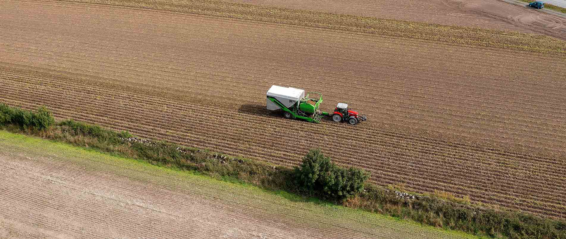 “探、收、烘、运”，看pp电子游戏官方网站如何四管齐下一站式保障秋收果实