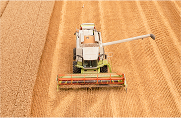 收——加大收割自动化力度，利用智能收获系统，保种保收，提产提质